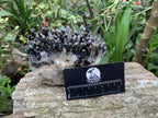Natural Super Rare "Blacknite Quartz" Iridescent Cluster x 1 From Madagascar