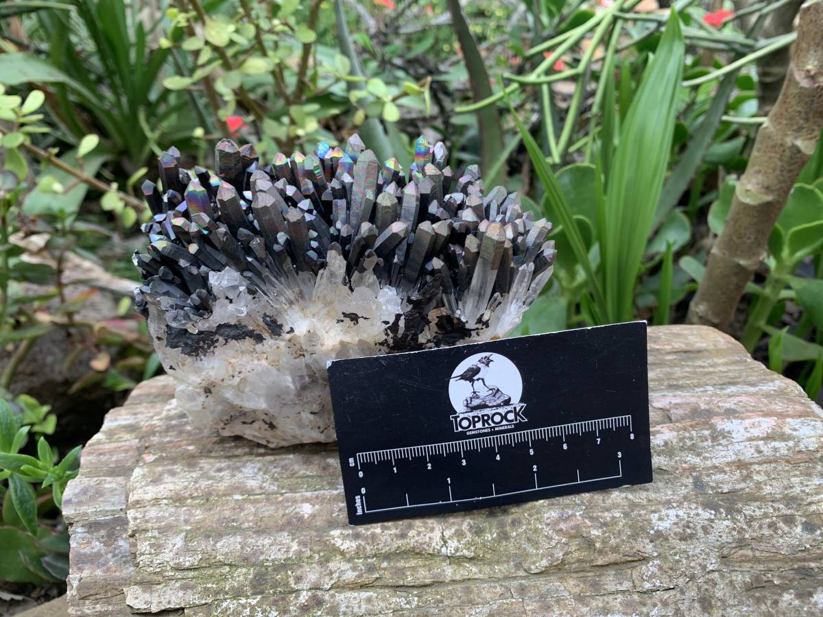 Natural Super Rare "Blacknite Quartz" Iridescent Cluster x 1 From Madagascar