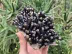 Natural Super Rare "Blacknite Quartz" Iridescent Cluster x 1 From Madagascar