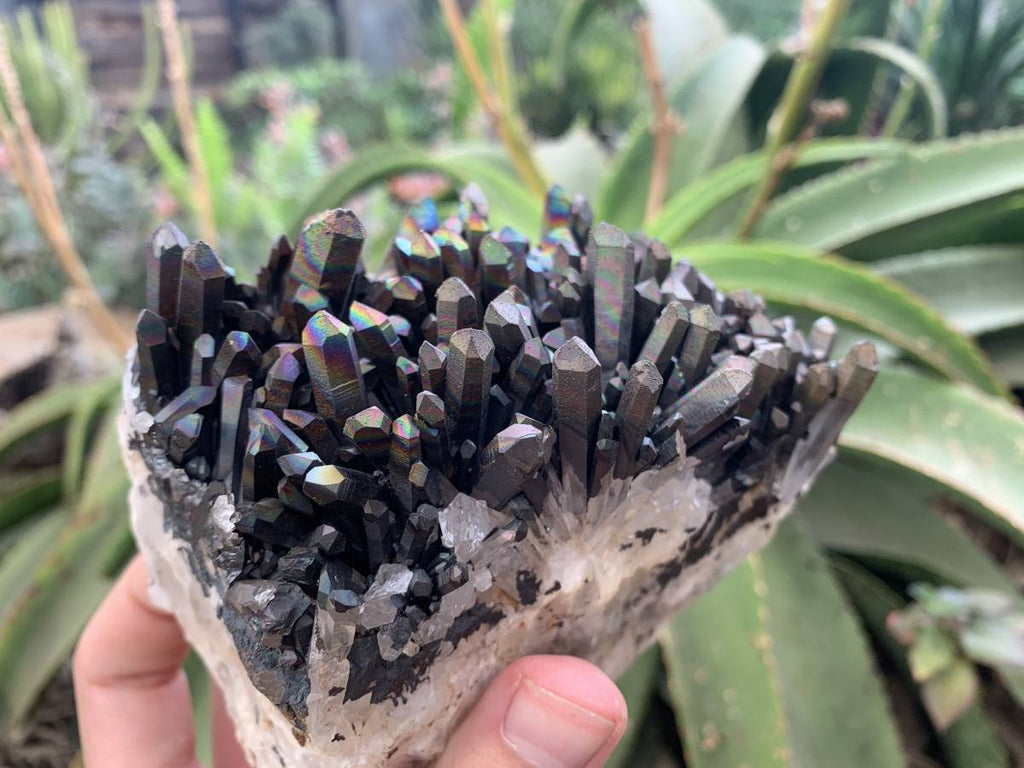 Natural Super Rare "Blacknite Quartz" Iridescent Cluster x 1 From Madagascar