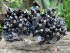 Natural Super Rare "Blacknite Quartz" Iridescent Cluster x 1 From Madagascar