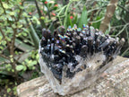 Natural Super Rare "Blacknite Quartz" Iridescent Cluster x 1 From Madagascar