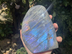 Polished Rare Purple Flash Labradorite Standing Free Form x 1 From Tulear, Madagascar