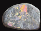 Polished Rare Purple Flash Labradorite Standing Free Form x 1 From Tulear, Madagascar