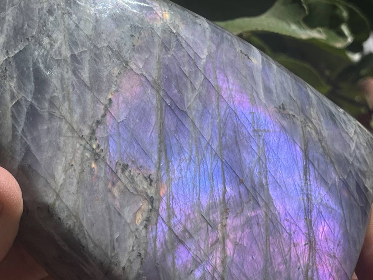 Polished Rare Purple Flash Labradorite Standing Free Form x 1 From Tulear, Madagascar