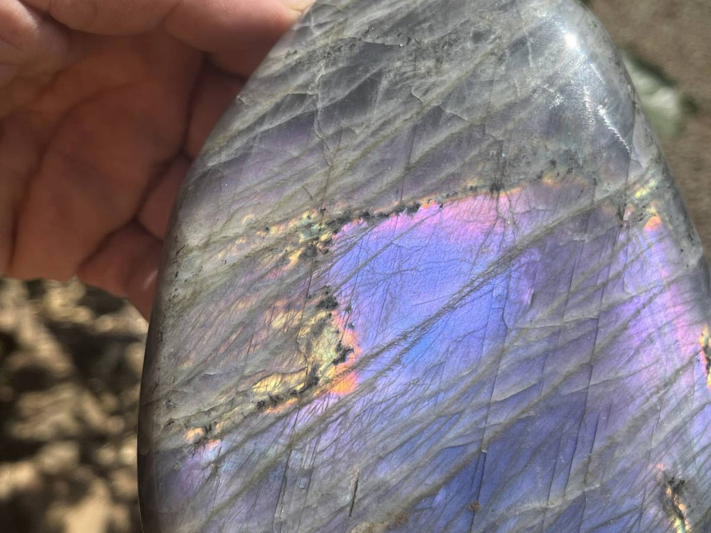Polished Rare Purple Flash Labradorite Standing Free Form x 1 From Tulear, Madagascar