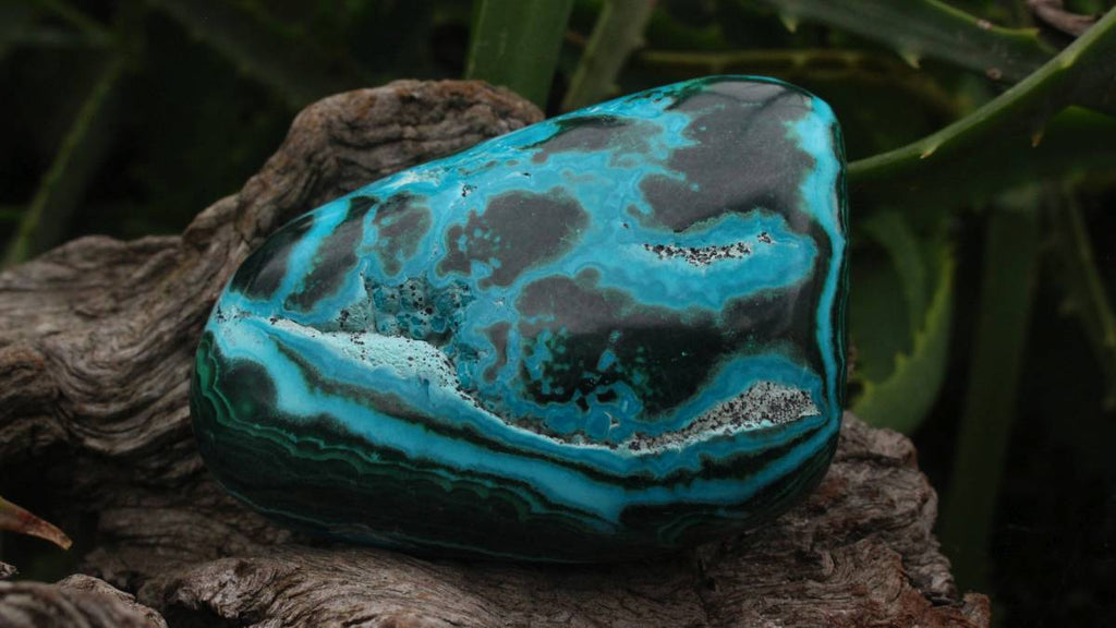 Polished Malacolla Free Form x 1 From Kulukuluku, Congo