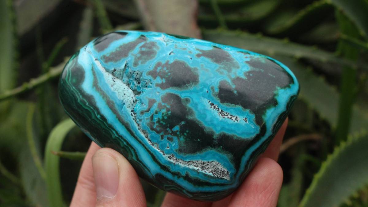 Polished Malacolla Free Form x 1 From Kulukuluku, Congo