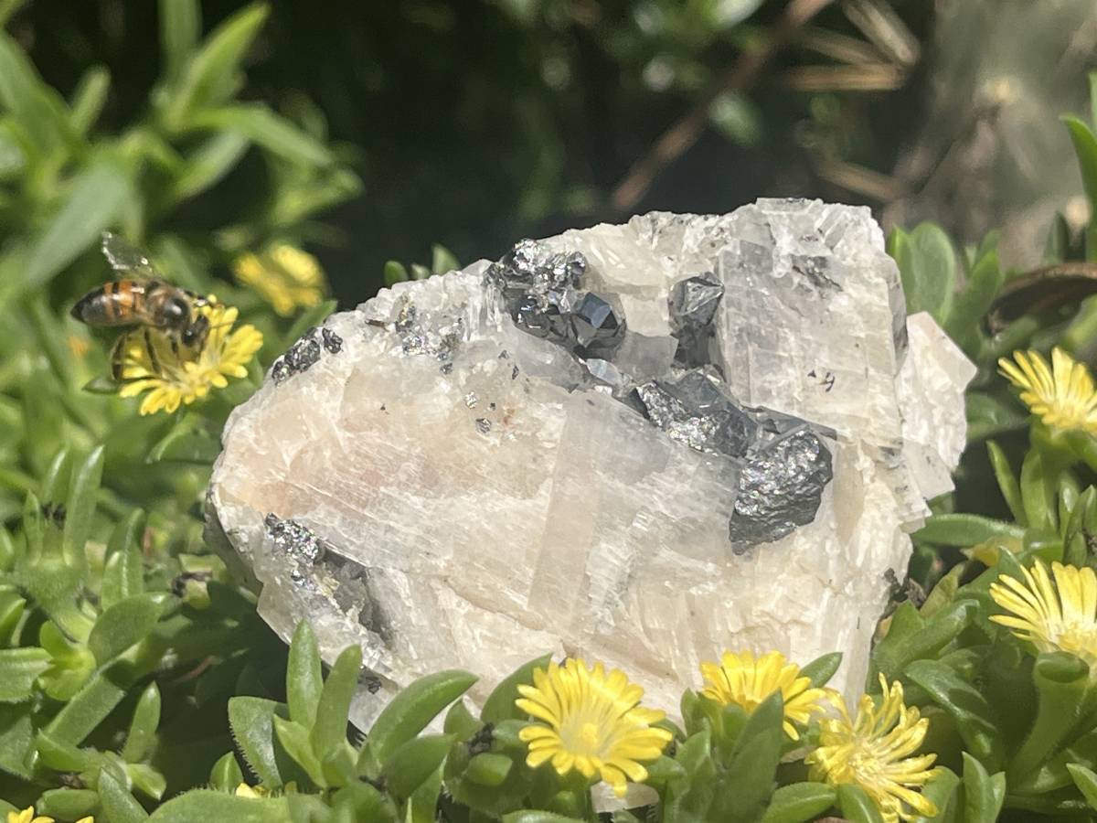 Natural Extremely Rare Carrollite Specimen x 1 From Etoile Mine, Congo