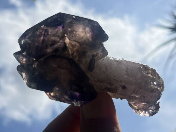 Natural Classic Window Scepter Smokey Amethyst Quartz Crystal x 1 From Chiredzi, Zimbabwe