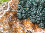Natural Ball Malachite on Dolomite Matrix Specimen x 1 From Kambove, Congo