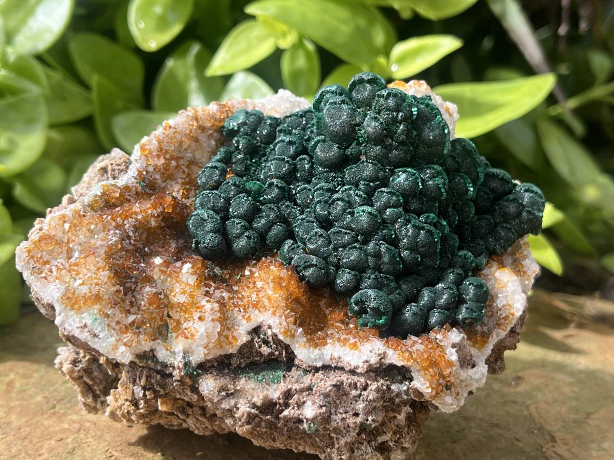 Natural Ball Malachite on Dolomite Matrix Specimen x 1 From Kambove, Congo