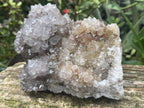 Natural Cactus Flower Smokey Spirit Quartz Cluster x 1 From South Africa