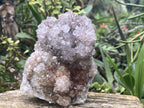 Natural Cactus Flower Smokey Spirit Quartz Cluster x 1 From South Africa