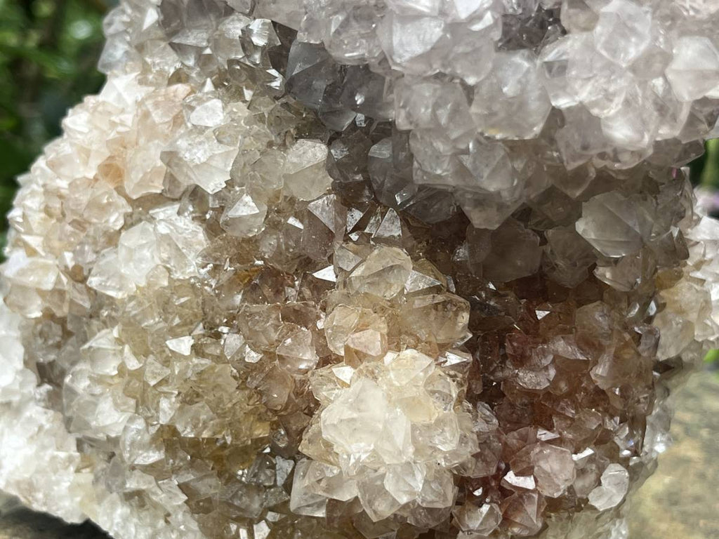 Natural Cactus Flower Smokey Spirit Quartz Cluster x 1 From South Africa