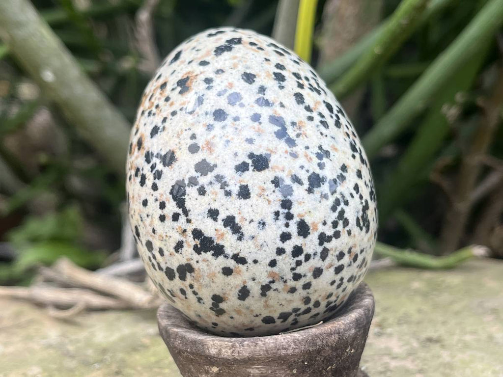 Polished Dalmatian Jasper Gemstone Speckled Egg - Sold Per Piece - From Chihuahua, Mexico