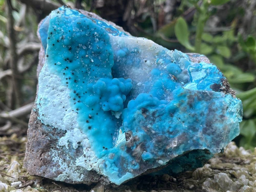 Natural Hemimorphite on Dolomite Specimen x 1 From Lupoto Mine, Congo
