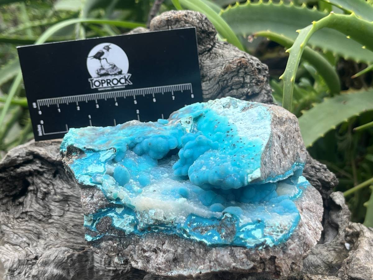 Natural Hemimorphite on Dolomite Specimen x 1 From Lupoto Mine, Congo