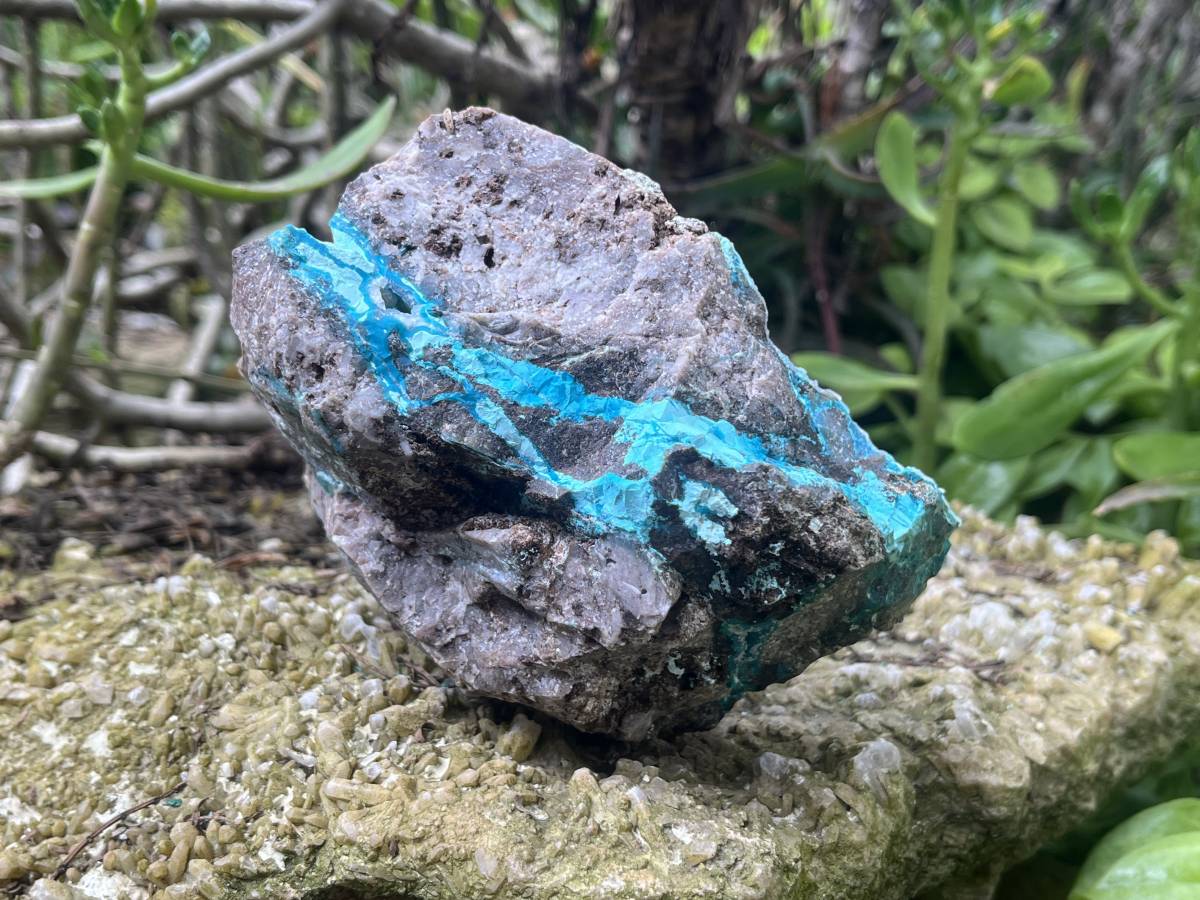 Natural Hemimorphite on Dolomite Specimen x 1 From Lupoto Mine, Congo