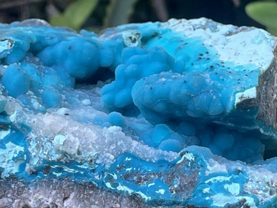 Natural Hemimorphite on Dolomite Specimen x 1 From Lupoto Mine, Congo