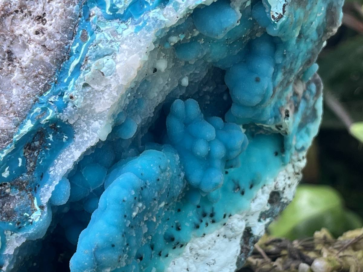 Natural Hemimorphite on Dolomite Specimen x 1 From Lupoto Mine, Congo