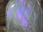 Polished Rare Purple Labradorite Standing Free Form x 1 From Tulear, Madagascar
