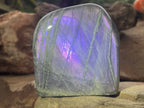 Polished Rare Purple Labradorite Standing Free Form x 1 From Tulear, Madagascar