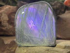 Polished Rare Purple Labradorite Standing Free Form x 1 From Tulear, Madagascar