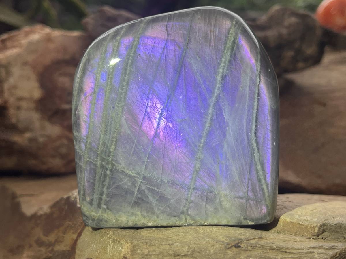 Polished Rare Purple Labradorite Standing Free Form x 1 From Tulear, Madagascar
