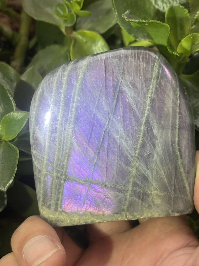 Polished Rare Purple Labradorite Standing Free Form x 1 From Tulear, Madagascar