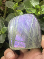 Polished Rare Purple Labradorite Standing Free Form x 1 From Tulear, Madagascar