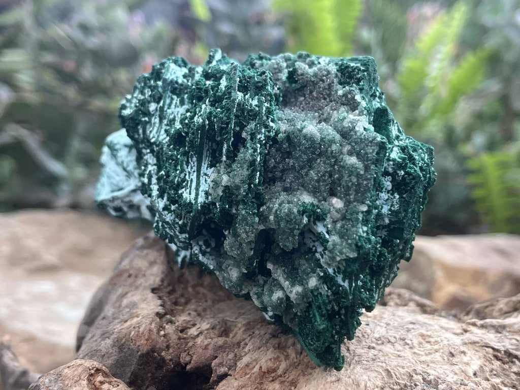 Natural Cabinet Lamellar Crystalline Malachite Pseudomorph Specimen x 1 From Lupoto Mine, Congo