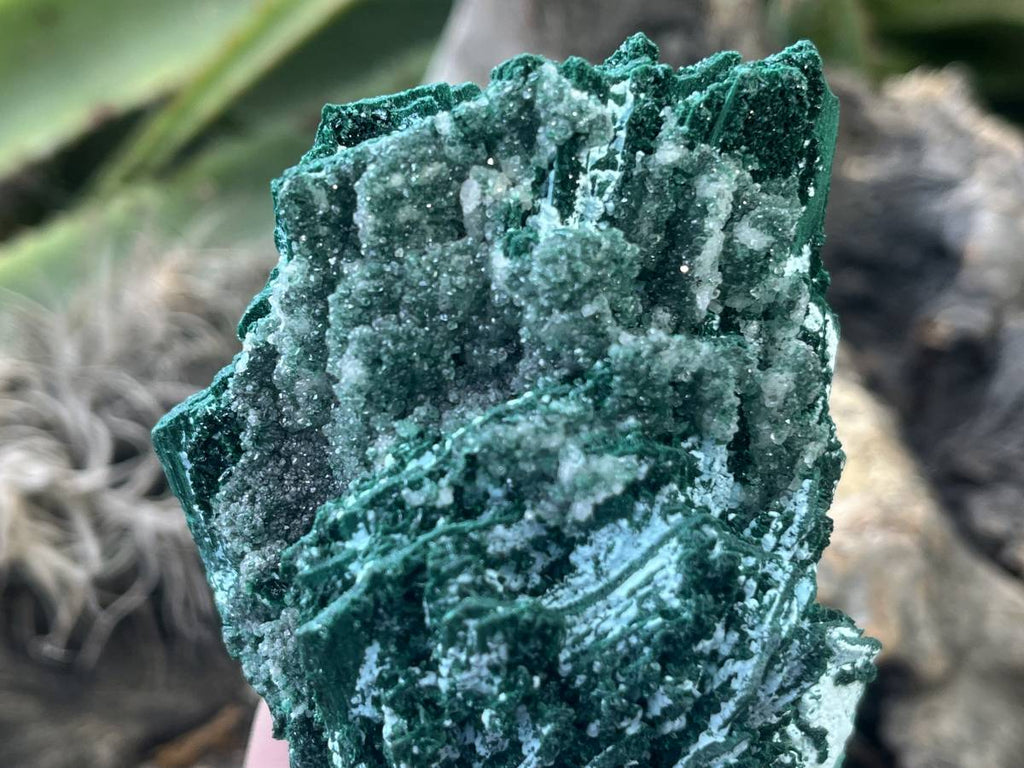 Natural Cabinet Lamellar Crystalline Malachite Pseudomorph Specimen x 1 From Lupoto Mine, Congo