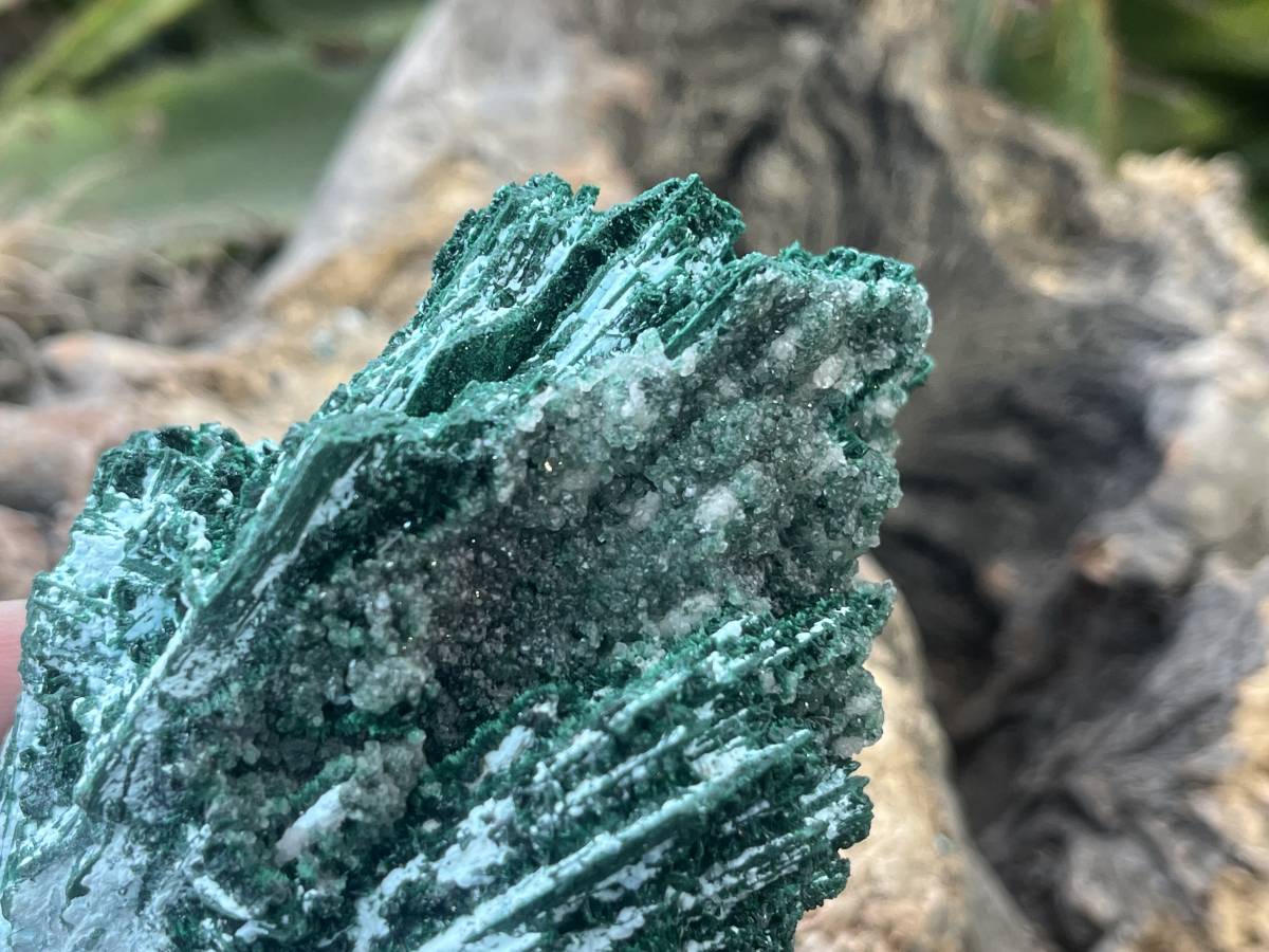 Natural Cabinet Lamellar Crystalline Malachite Pseudomorph Specimen x 1 From Lupoto Mine, Congo
