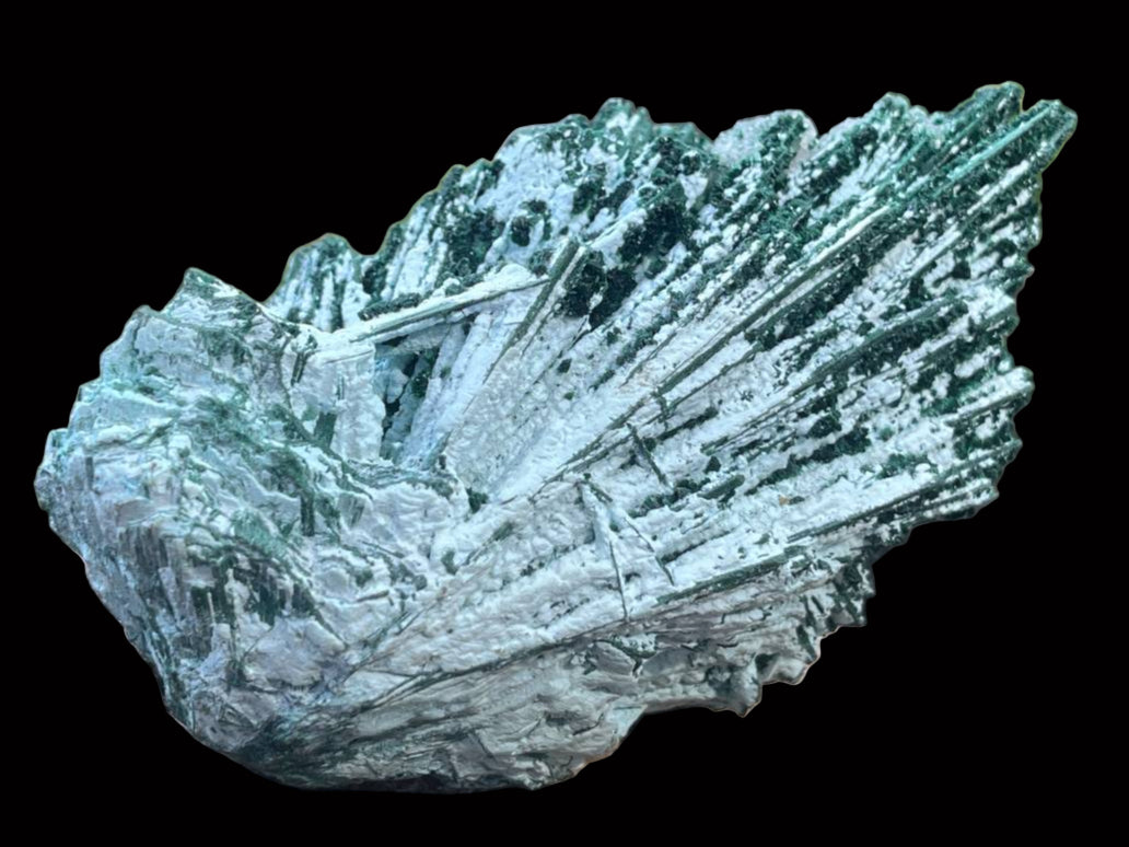 Natural Cabinet Lamellar Crystalline Malachite Pseudomorph Specimen x 1 From Lupoto Mine, Congo