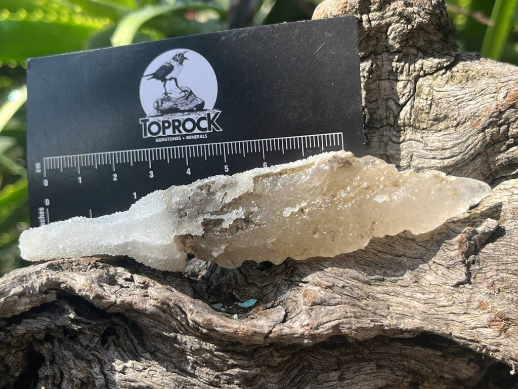 Natural Druzy Quartz Coated Spearhead Calcite Pseudomorph Specimen x 1 From Alberts Mountain, Lesotho