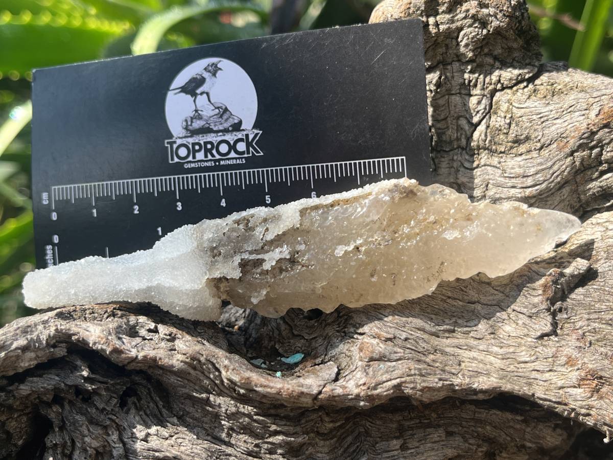 Natural Druzy Quartz Coated Spearhead Calcite Pseudomorph Specimen x 1 From Alberts Mountain, Lesotho