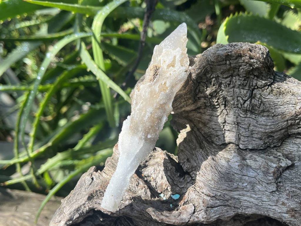 Natural Druzy Quartz Coated Spearhead Calcite Pseudomorph Specimen x 1 From Alberts Mountain, Lesotho