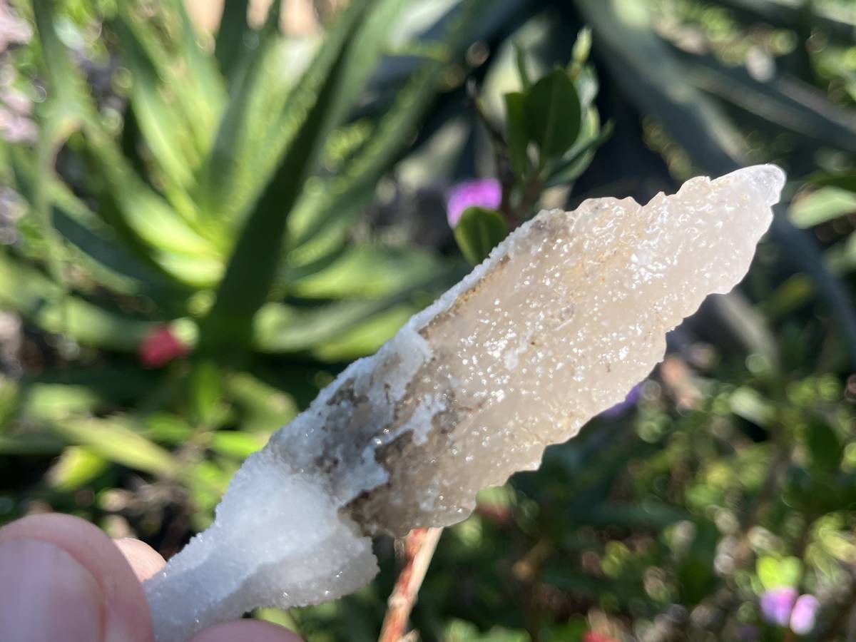 Natural Druzy Quartz Coated Spearhead Calcite Pseudomorph Specimen x 1 From Alberts Mountain, Lesotho