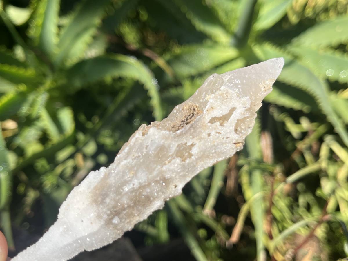 Natural Druzy Quartz Coated Spearhead Calcite Pseudomorph Specimen x 1 From Alberts Mountain, Lesotho