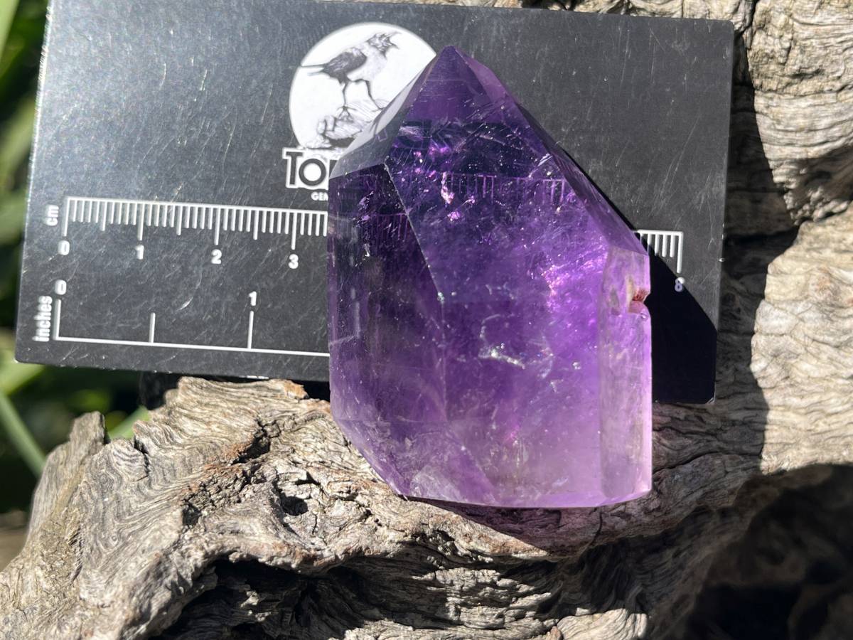 Polished Window Amethyst Crystal x 1 From Akansobe, Madagascar
