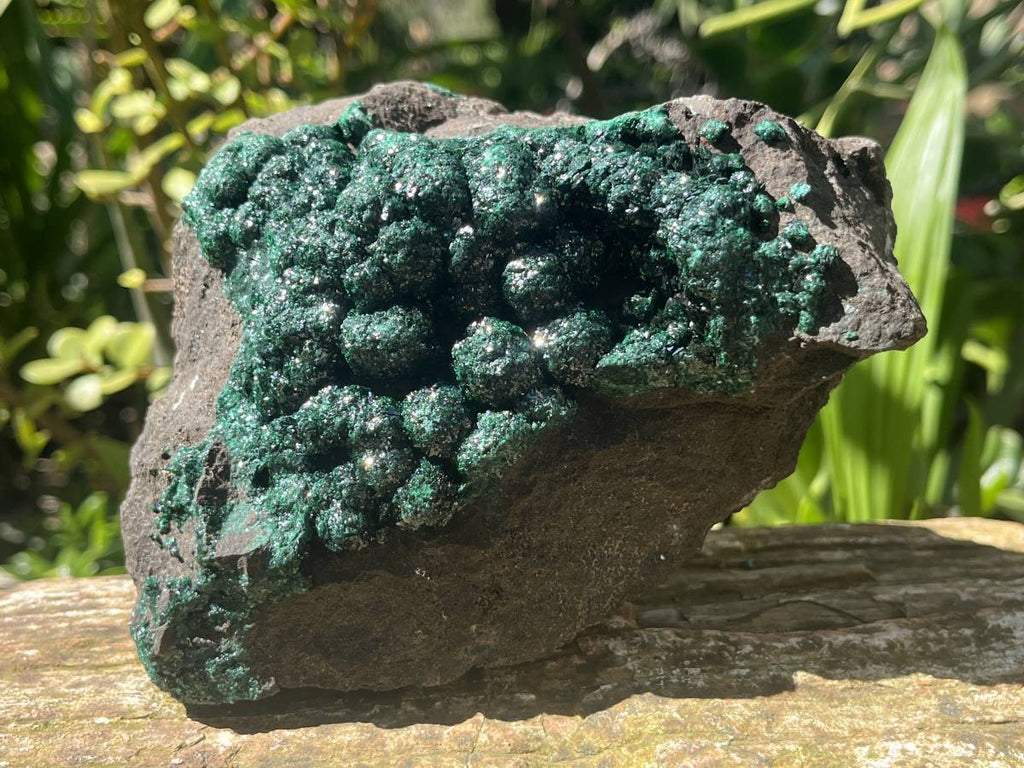 Natural Ball Malachite Specimen on a Dolomite Matrix from Kambove, Congo