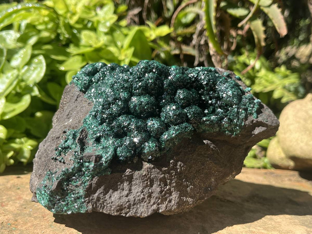 Natural Ball Malachite Specimen on a Dolomite Matrix from Kambove, Congo