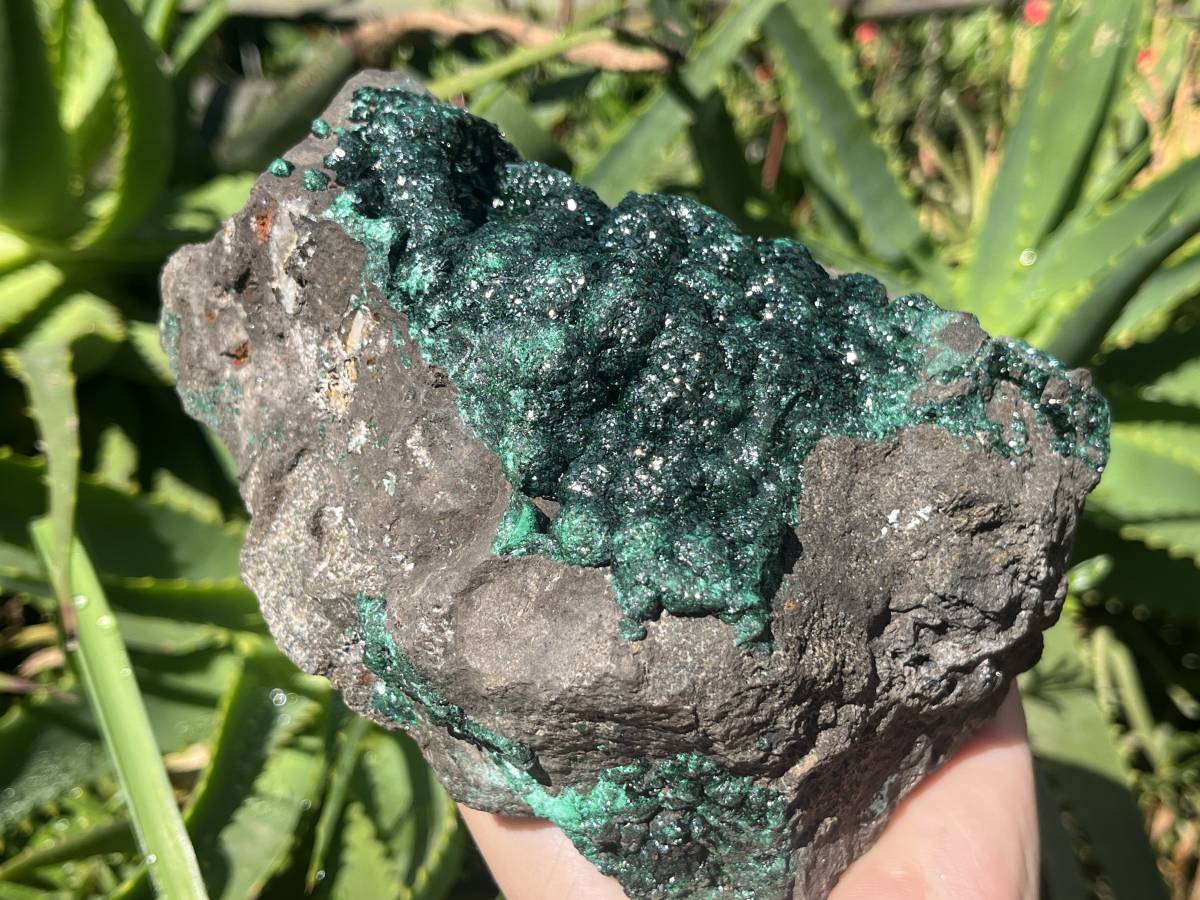 Natural Ball Malachite Specimen on a Dolomite Matrix from Kambove, Congo