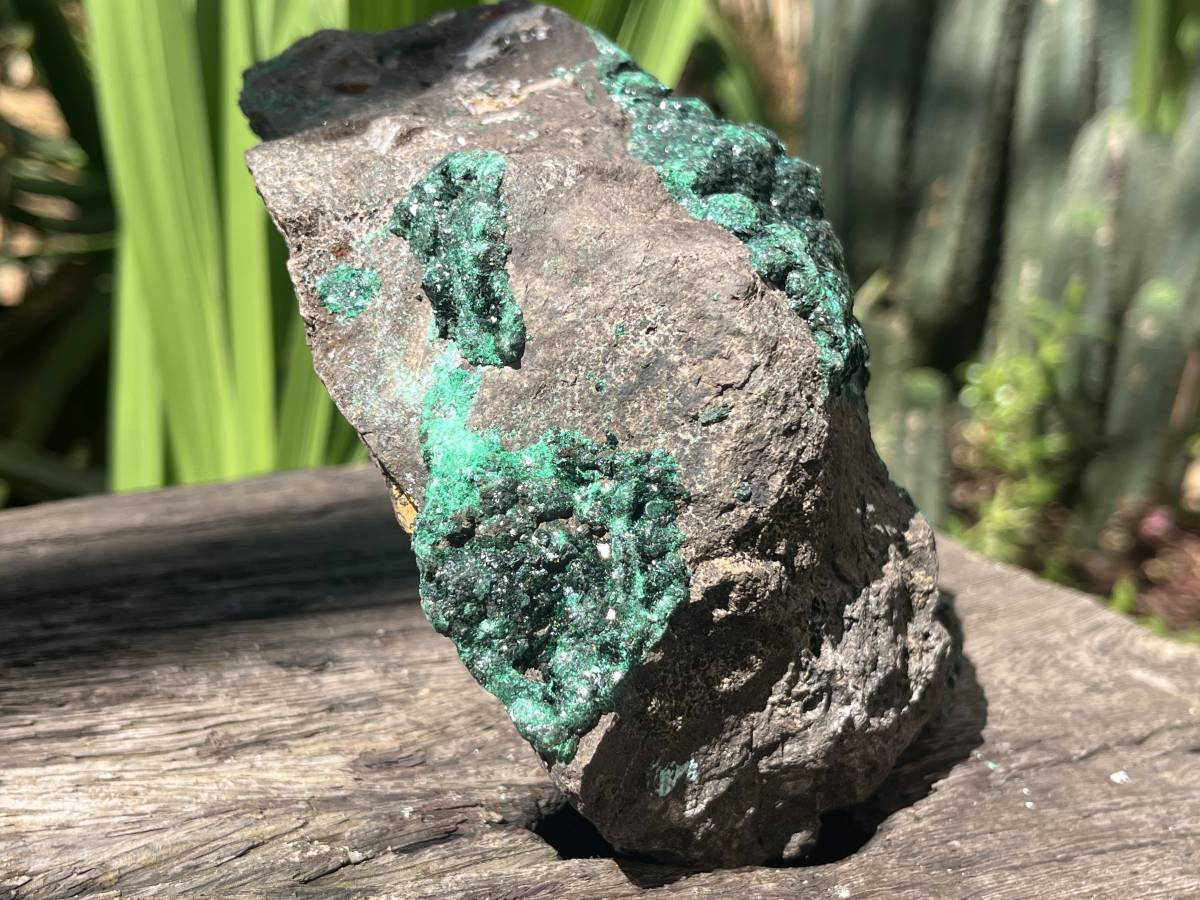 Natural Ball Malachite Specimen on a Dolomite Matrix from Kambove, Congo