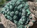 Natural Ball Malachite Specimen on a Dolomite Matrix from Kambove, Congo