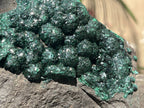 Natural Ball Malachite Specimen on a Dolomite Matrix from Kambove, Congo