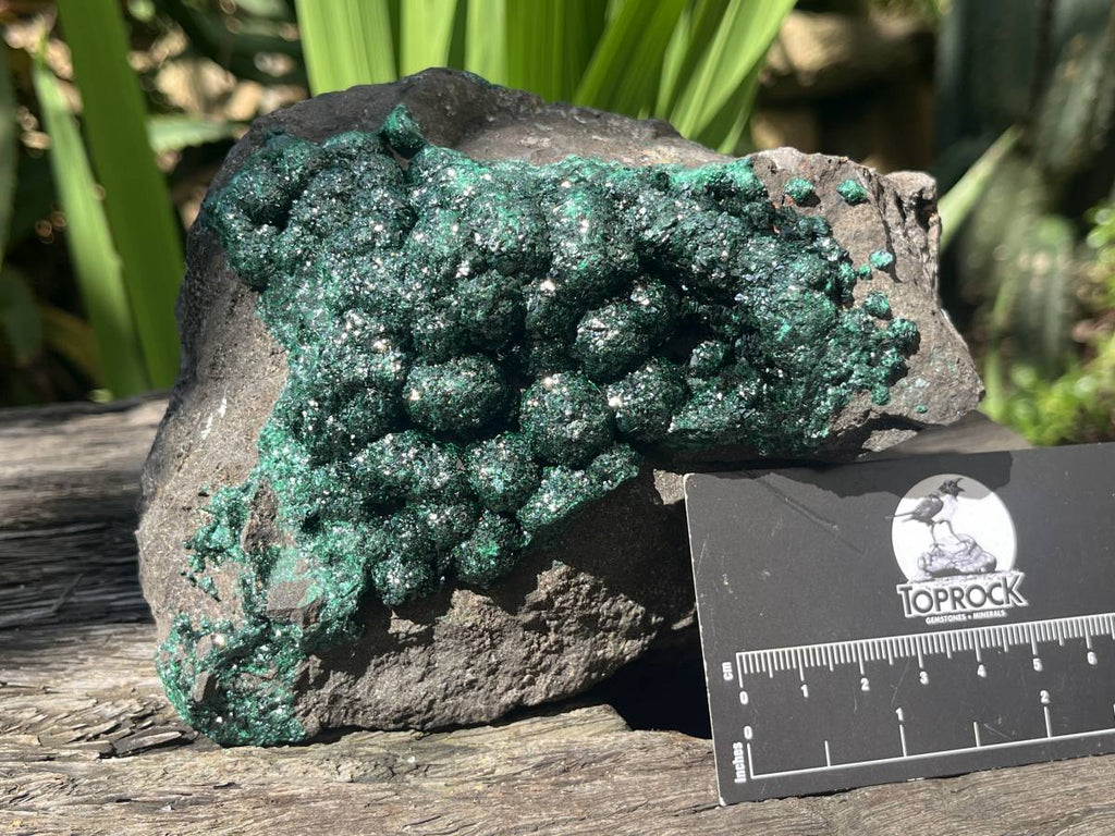 Natural Ball Malachite Specimen on a Dolomite Matrix from Kambove, Congo