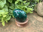 Polished Rare Extra Large Flower Banded Malachite Egg x 1 From Congo