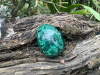 Polished Rare Extra Large Flower Banded Malachite Egg x 1 From Congo